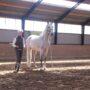 Fa´zem statue