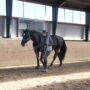 Noa og Jane 1. grundposition